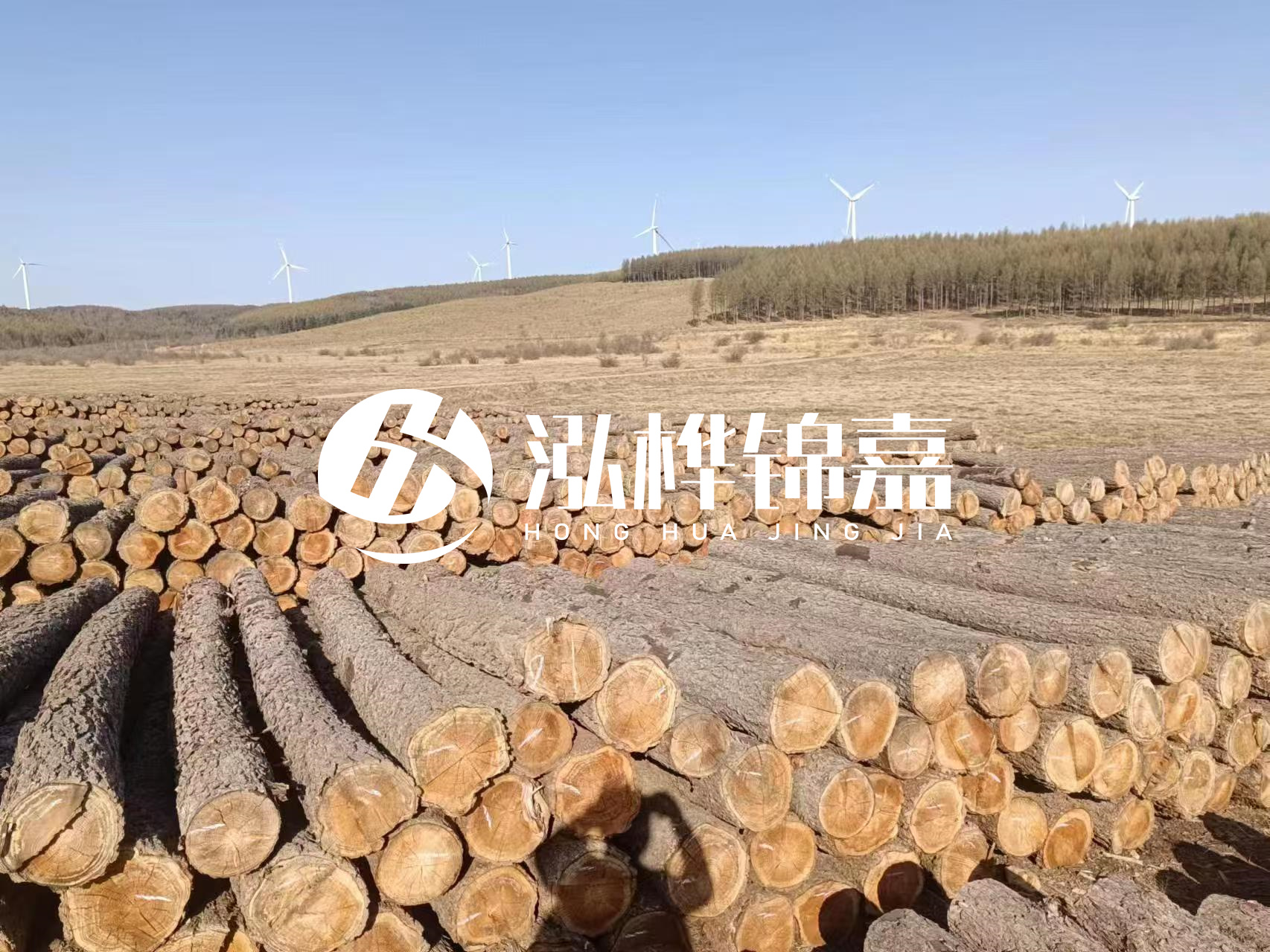 咸寧松木樁源頭廠家-哪里能買到質(zhì)量好的松木樁打樁木？